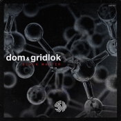 Dom & Gridlok - Black Matter (Project 51)